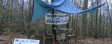 Waldbesetzung in Trebur am 6. November 2019. Foto: Peter Illert/ROBIN WOOD