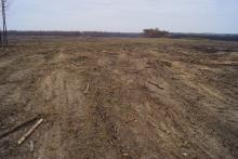 Die gerodeten Waldbrandflächen bei Klausdurf in Brandenburg 2. Bild: Pierre Ibisch