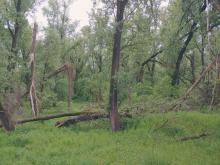 Blick in die Vollhöfner Weiden, JanaBallenthien_ROBINWOOD_2