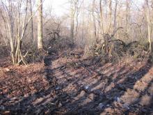 vollständige zerstörung des bodens