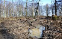 tiefe Spurrinnen durch Einsatz der Schwertechnik trotz ungünstiger Witterungsbedingungen