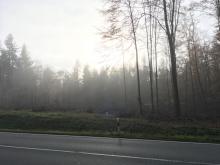 Kahlschlag im Wald direkt an der B260 in Richtung Grebenroth