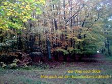 der Weg noch in 2009