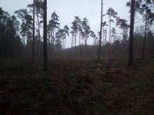 östlich, nördlich der Bahntrasse