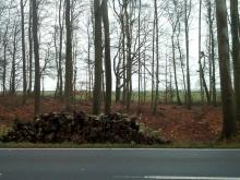 Durchlichtung Neubukow