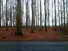 Rückegasse Neubukow