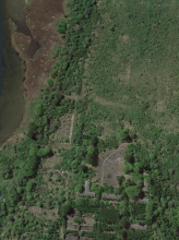 ältere Aufnahme NSG Wustrow bereits zugewachsene Wege