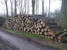 Einer der zahlreichen Polder im Gebiet