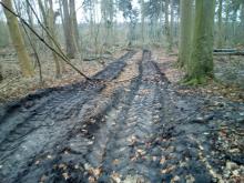 Harvester-Schneise durch den Stadtwald