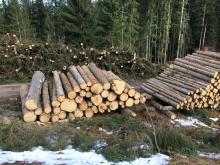 Holzstapel