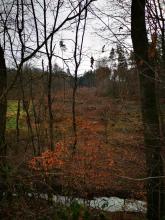 Radweg Hillscheid Rodung