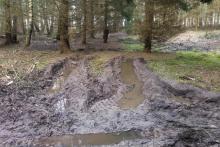 Unnötige Fahrspuren (quer zur Rückegasse) im Senkenbereich