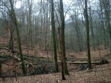 Sturmschäden in der Kühlung