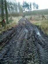 Schneise des Harvesters durch Kahlschläge im Questiner Forst