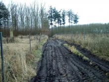 Weg des Harvesters durch Kahlschlagflächen