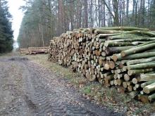 Polder an den Kahlschlägen Questin