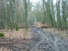 Polder westlich östlich von Questin