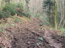 Zufahrtswege fräsen sich förmlich durch den Wald