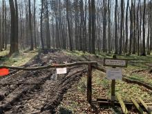 5 Waldarbeit im Naturschutzgebiet - © Loof_93 // 2019