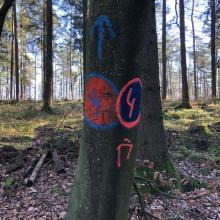 Position_der_Faellung