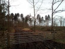 Schirmschlag im Landschaftsschutzgebiet am Salzhaff
