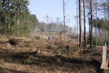 Unterer  Lippersberg