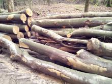 2020, Lautzkirchen Nähe Tennisplatz