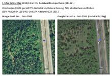 Google Earth Pro Karten Fotos 2009 (vor Kahlschlag) u. 2016 (nach Kahleschlag)