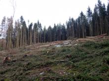 ©_ORMUZ_ 28.02.2020