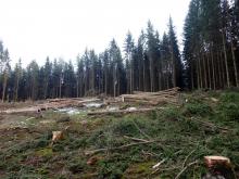 ©_ORMUZ_ 28.02.2020