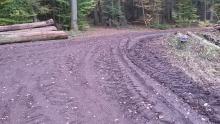 Sehr breit ausgefahrener Waldweg mit tiefen Furchen von Fahrzeugen und mit Holzpoltern an der Seite.