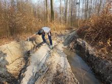 Tiefe der Rückegasse bis 70 cm gemessen (Doris Hermann, 2019)