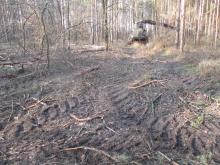 01_Eselsforth Dessau Harvester