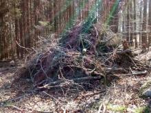 Alles Geäst vom Massaker schön auf einen Berg getürmt