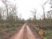 01_20_T.02.A Wörlitz, B. Rac 2020