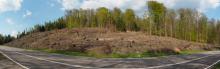 Kahlschlag nach Waldbrand am Mettlacher Berg