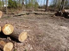 Foto selbst, Schäden innerhalb des Ortes M-W