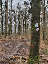 Unmittelbar nach der Ernteaktion