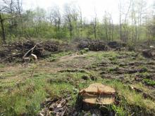 1 Z-Friedhof B.Rac 2020