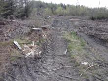 Wege- und Holzernteschäden