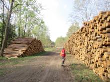 05_Eselsforth 2.0 B. Rac 29.04.20