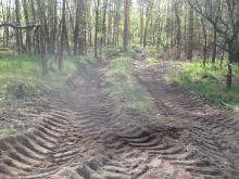 04_Eselsforth 2.0 B. Rac 29.04.20