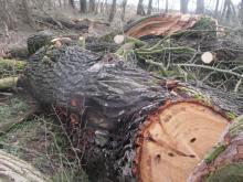 01_Vock. 2, B. Rac 27.02.20