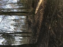 Vorwerksbusch, 21465 Reinbek