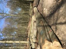 Vorwerksbusch, 21465 Reinbek