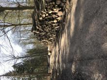 Vorwerksbusch, 21465 Reinbek