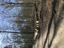 Vorwerksbusch, 21465 Reinbek