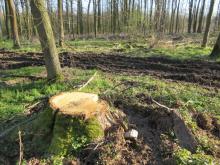 W.-C., Nähe Fähre 01 B. Rac