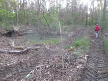 Rößling Süd 2 B. Rac