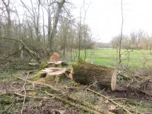 W-C., Coswiger A. 04 B. Rac